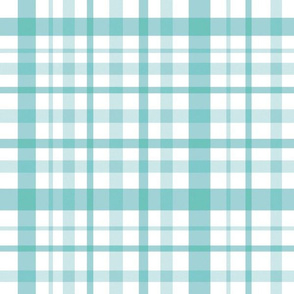 Teal and white plaid