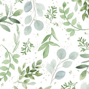 Jumbo / Sage Watercolor Eucalyptus