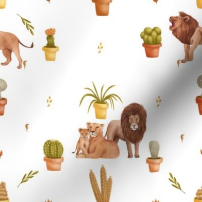 Safari animals .. lions and succulents