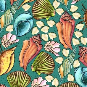 Seashells, yellow and orange on a dark turquoise background, Large size