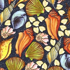 Seashells, Yellow and orange on gray background, Large size