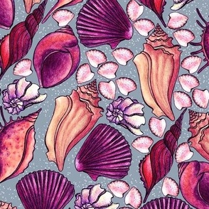 Seashells, pink and raspberry on a gray background, Large size