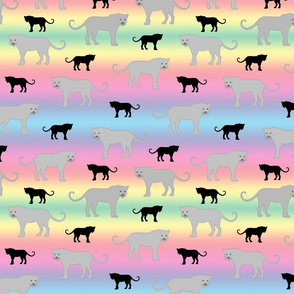 Prancing Panthers - black and grey on rainbow, medium 