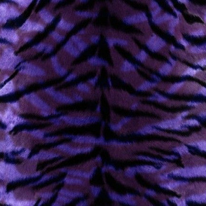 Tiger Print - Purple