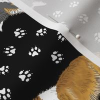 Trotting rough coated Collies paw print border