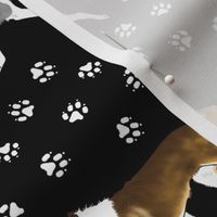 Trotting smooth coated Collies paw print border