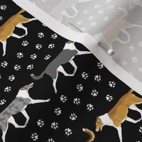 Tiny Trotting smooth coated Collies paw print border