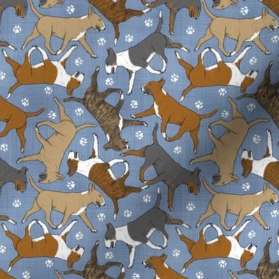 Tiny Trotting Bull Terriers colored and paw prints - faux denim