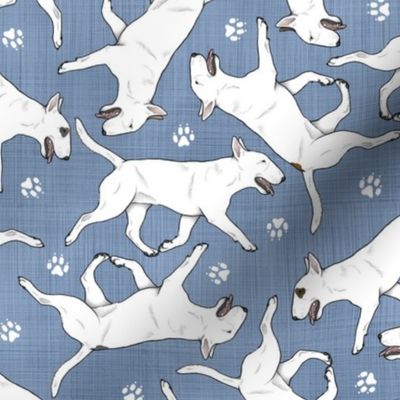 Trotting Miniature Bull Terriers white and paw prints - faux denim