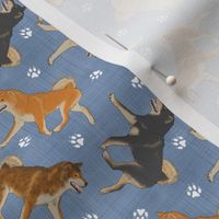 Tiny Trotting Shiba Inu and paw prints - faux denim