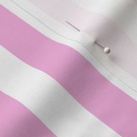 Pink and white one inch stripe - vertical