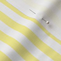 Yellow and white half inch stripe - vertical