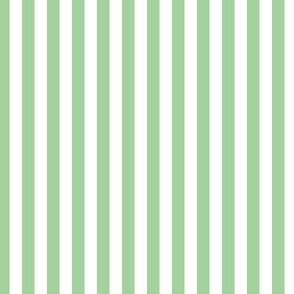 Green and white quarter inch stripe - vertical