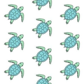 sea turtles