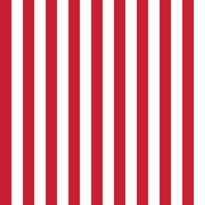 Red and white one inch stripe - vertical
