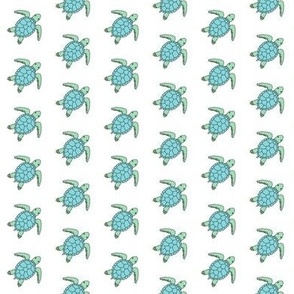 tiny sea turtles