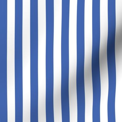 Royal blue and white half inch stripe - vertical
