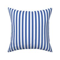 Royal blue and white half inch stripe - vertical