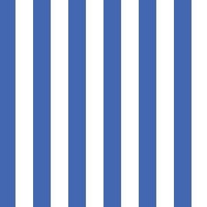 Royal blue and white half inch stripe - vertical