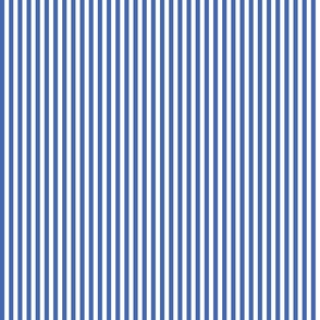 Royal blue and white quarter inch stripe - vertical