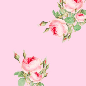 Pink roses,flowers pattern 