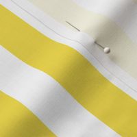 Illuminating yellow and white one inch stripe - vertical
