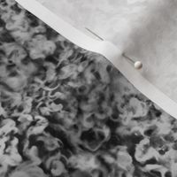Silver gray poodle curl fur texture