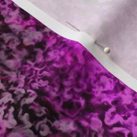 Fuchsia pink fury poodle curl fur texture