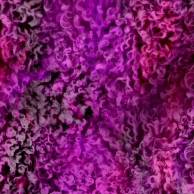 Fuchsia pink fury poodle curl fur texture
