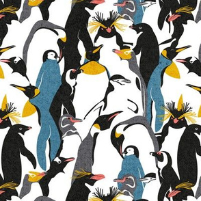 Small scale // We love penguins // black white grey dark teal yellow and coral type species of penguins (King, African, Emperor, Gentoo, Galápagos, Macaroni, Adèlie, Rockhopper, Yellow-eyed, Chinstrap)