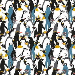 Tiny scale // We love penguins // black white grey dark teal yellow and coral type species of penguins (King, African, Emperor, Gentoo, Galápagos, Macaroni, Adèlie, Rockhopper, Yellow-eyed, Chinstrap)