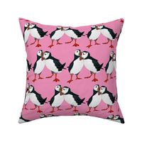 puffin pair pink