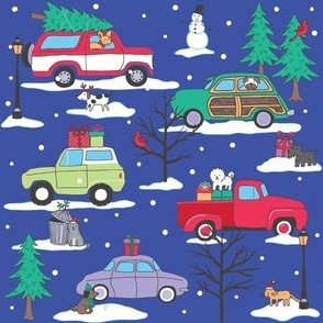 Cute Dogs and cats Christmas holiday  kids cars  winter snow night dark blue trees 