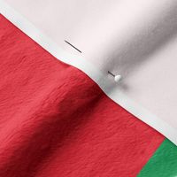 Italian Flag  - 2 yard Minky 