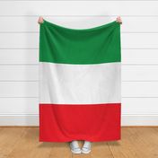 Italian Flag  - 2 yard Minky 