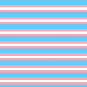 Half Inch Stripe Trans Pride