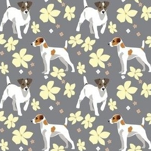 Puppies Jack Russel Terrier Dogs with yellow flowers