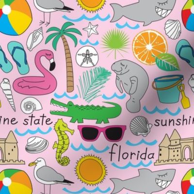 florida items on pink
