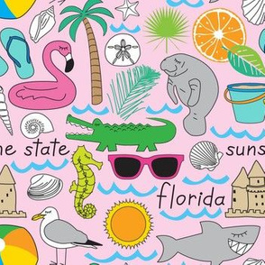 florida items on pink