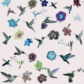 colibris et fleurs pastels