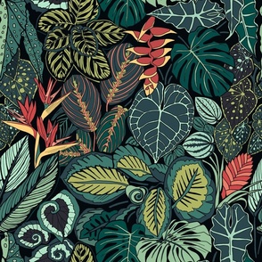 Tropical Rainforest Leaves