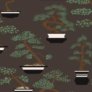 bonsai trees - brown background