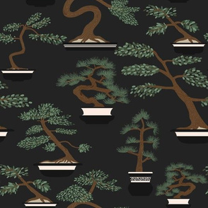bonsai trees - grey background