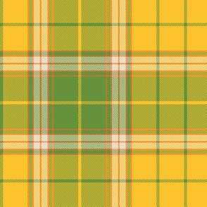 Green And Yellow Plaids , Tartans , Checks 16.00in x 16.00in, 