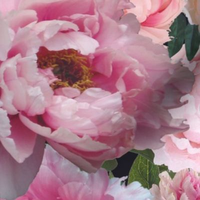 Peony Border Left