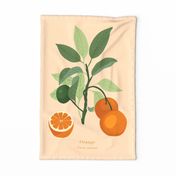 Tea Towel Botanical Oranges