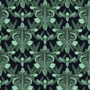 Calathea_Damask