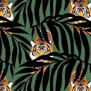 Tigers in the Jungle