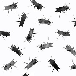 stag-beetle bugs in watercolor texture black and white