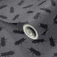 stag-beetle bugs on grey